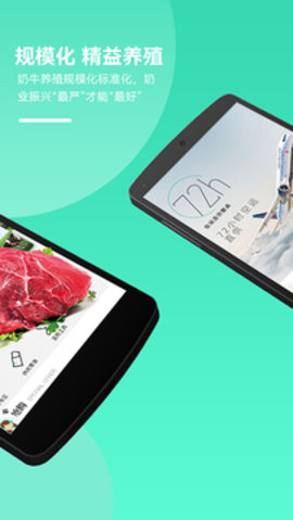 全民养牛app