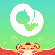 孕期伴侣