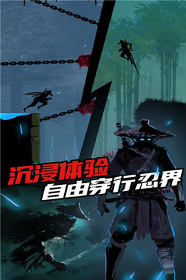 忍者岚(Ninja Arashi)中文版