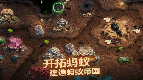 小小蚁国（The Ants）