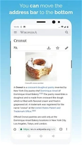 kiwibrowser