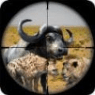 动物狩猎沙漠射击（Frontier Animal Hunting）