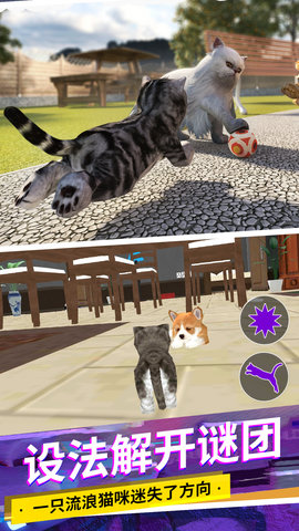 猫咪城市模拟正版