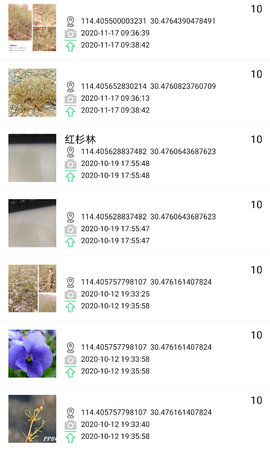 绿途（Li-Vegetation）
