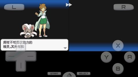 口袋妖怪黑2 649版