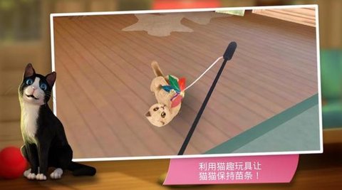 猫咪旅店（CatHotel）