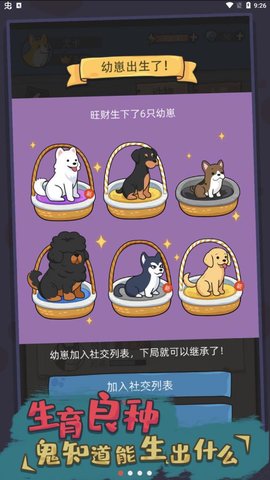 狗生模拟器（Dog Simulator）