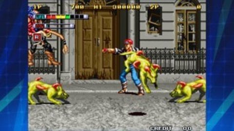 变异公园格斗（MUTATION NATION ACA NEOGEO）