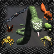 真实的蛇（Real Snake）