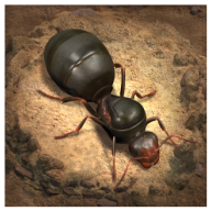 小小蚁国（The Ants）