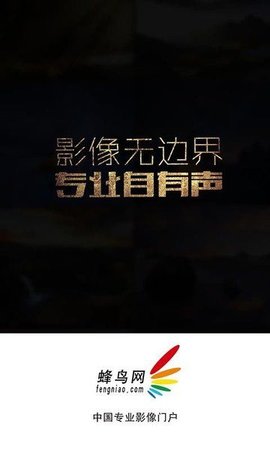 蜂鸟摄影