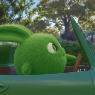 SUNNY BUNNIES driving driving