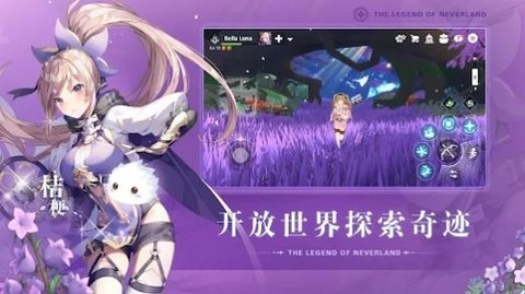 永无乡传说（The Legend of Neverland）