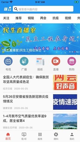 豚云