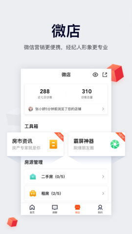 中国网络经纪人（Leaks）