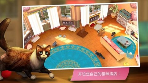 猫咪旅店（CatHotel）