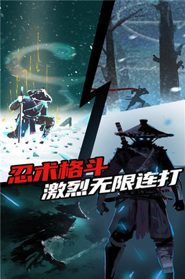 忍者岚(Ninja Arashi)中文版