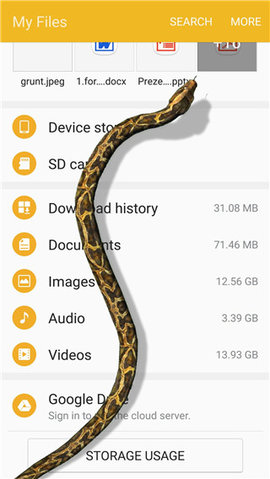 蛇屏幕恶作剧（Snake On Screen Hissing Joke）