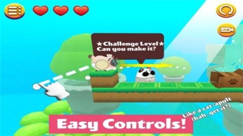 猫小盒(Kitty in the Box)