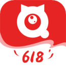 全民严选