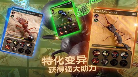 小小蚁国（The Ants）