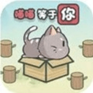 这不是推箱子