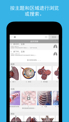 2023人体解剖学图谱