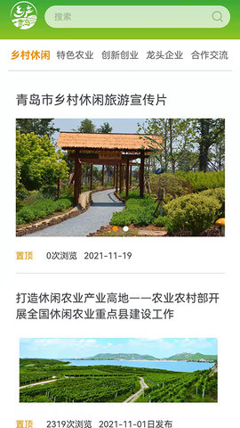 乡产青岛