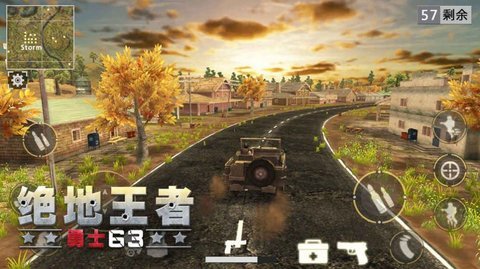 绝地勇士63（Battle Royale 3D - Warrior63）