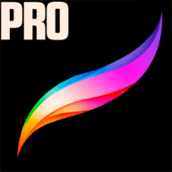 Procreate pocket
