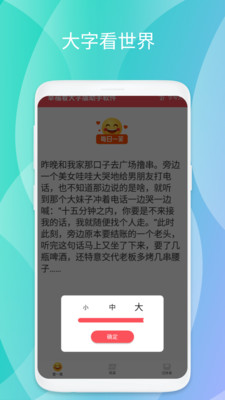 幸福看大字版助手软件