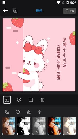 石大水印相机
