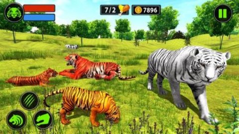 狮子家族模拟器(Lion Family Simulator)