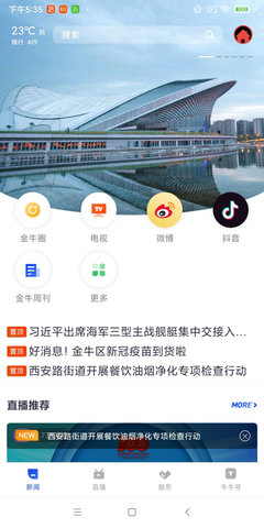 掌上金牛