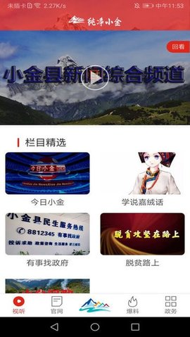纯净小金