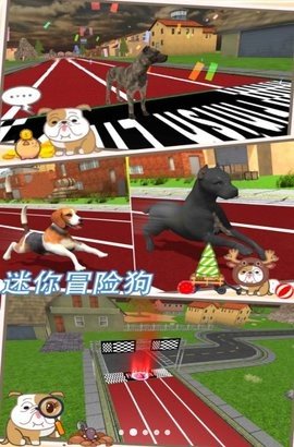 迷你冒险狗最新版