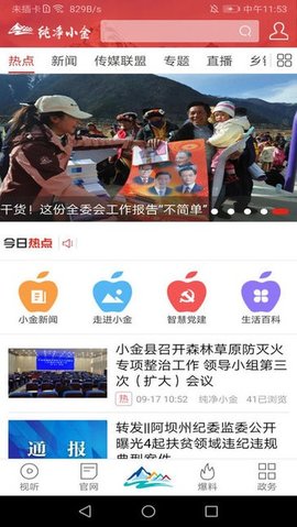 纯净小金