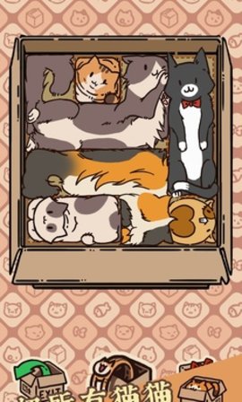 盒子戏（Box Cats）