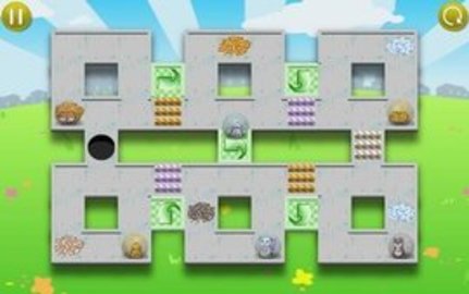 仓鼠追逐(Hamster Chase)