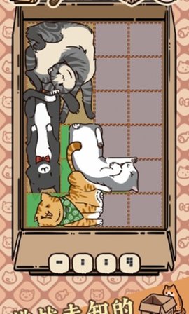 盒子戏（Box Cats）