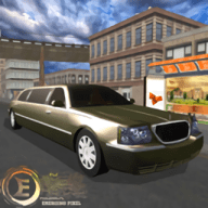 城市豪华出租车（luxury city limo driving）