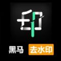 黑马去水印最新版