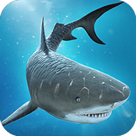 鲨鱼大战鳄鱼（Shark vs Crocodile Fight）