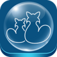 香信（iCivet）