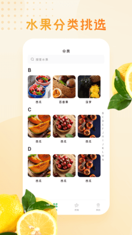 动听水果大全