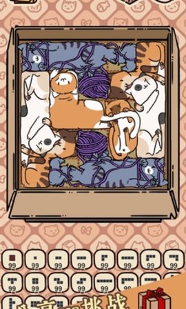 盒子戏（Box Cats）