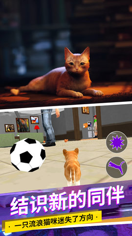 猫咪城市模拟正版