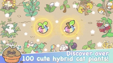 我的猫咪盆栽（My CatPots）