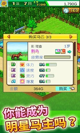 赛马牧场物语（Pocket Stables）
