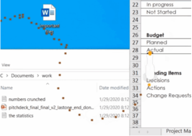 desktop goose（Goose）